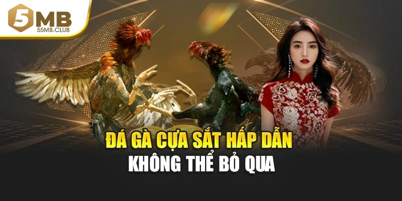 Đá gà cựa sắt hấp dẫn không thể bỏ qua