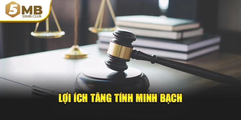 Lợi ích tăng tính minh bạch