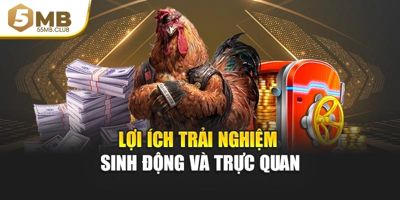 Lợi ích trải nghiệm sinh động và trực quan