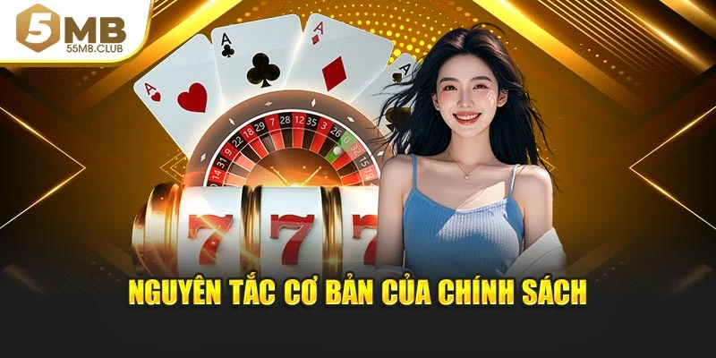 Nguyên tắc cơ bản của chính sách